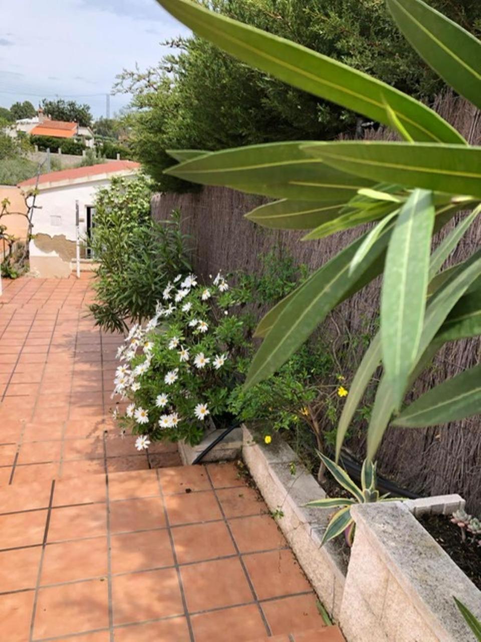 Ame339 Villa Intima Para 8 Personas, Con Piscina Privada Climatizacion L'Ametlla de Mar Exterior foto